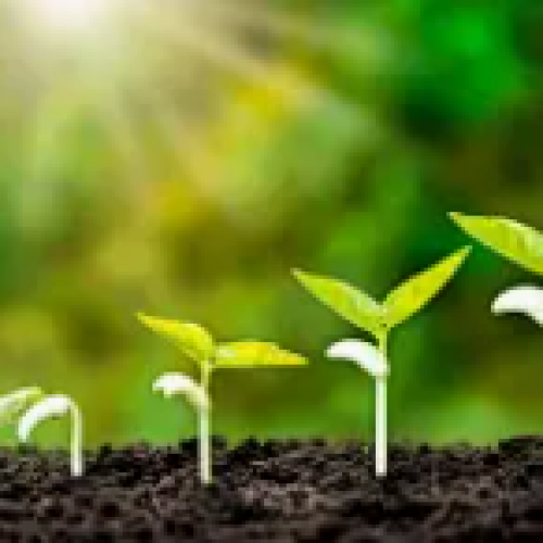 Comment choisir des capteurs EC du sol adaptés aux applications agricoles ?