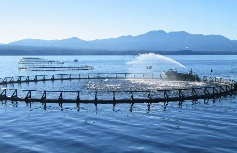 Des rivières aux réseaux d'eau : le rôle clé des capteurs de qualité de l'eau dans la gestion intelligente de l'eau
